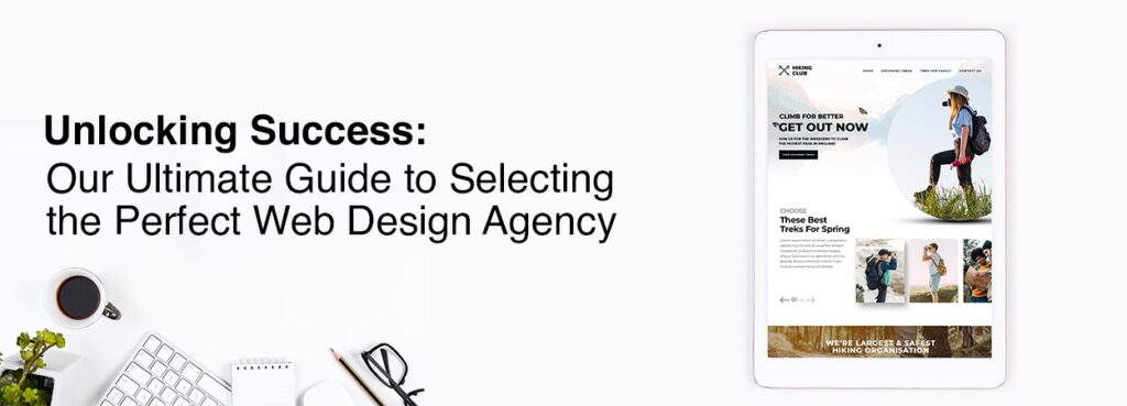 perfect web design agency